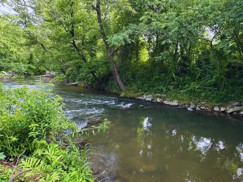 Undisclosed, Warne, NC 28909 photo 12