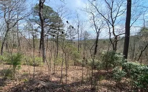 Undisclosed, Warne, NC 28909