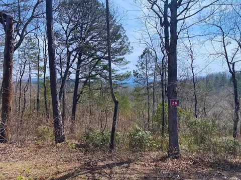 Undisclosed, Warne, NC 28909 photo 3