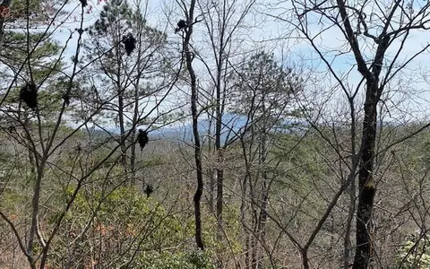 Undisclosed, Warne, NC 28909 photo 5