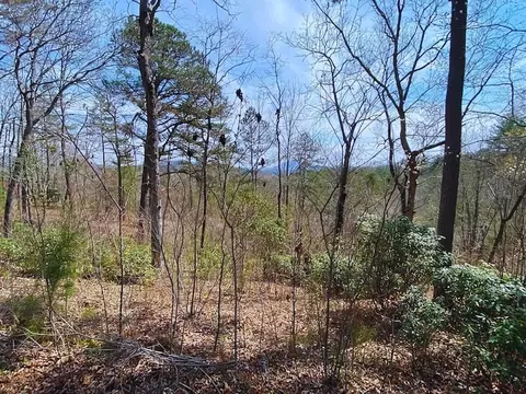 Undisclosed, Warne, NC 28909 photo 7