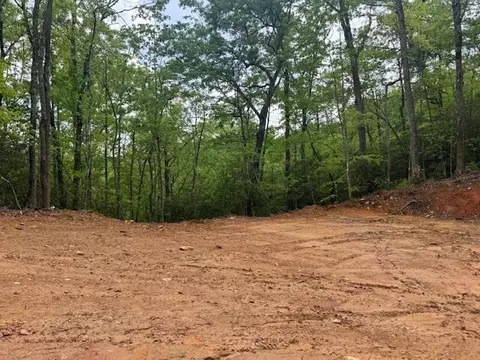 00 Tyler Ln, Marble, NC 28905