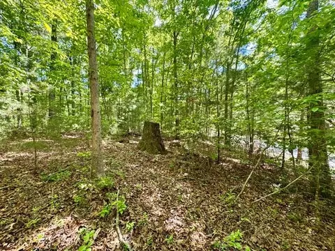 3 Rockridge Road, Murphy, NC 28906 photo 6