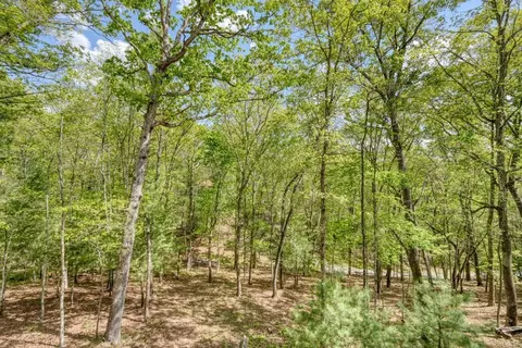 Exterior - 100 Fern Cove Ln, Murphy, NC 28906 photo 11 of 11