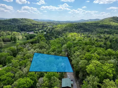 View/Area - 100 Fern Cove Ln, Murphy, NC 28906 photo 5 of 6
