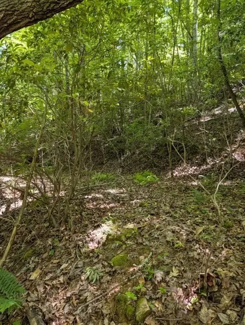 00 Talc Mine Rd, Murphy, NC 28906