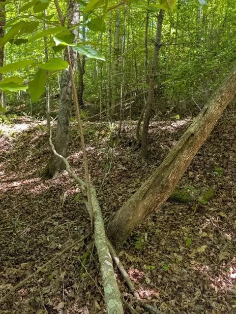 00 Talc Mine Rd, Murphy, NC 28906 photo 6