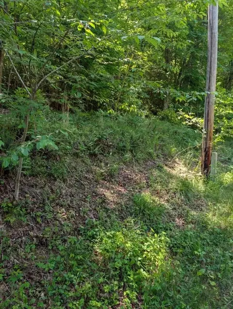 00 Talc Mine Rd, Murphy, NC 28906 photo 3