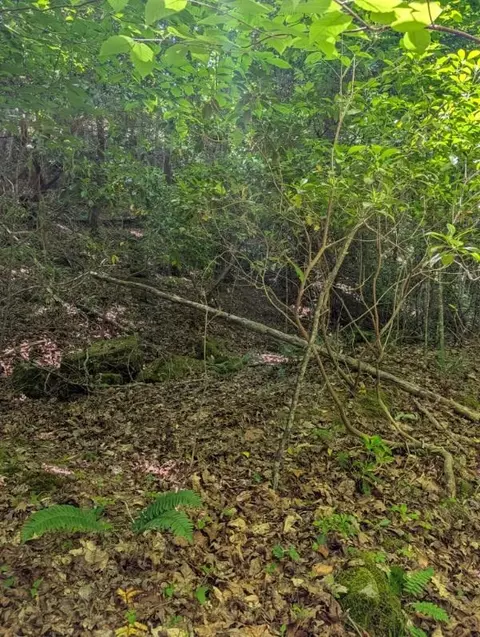 00 Talc Mine Rd, Murphy, NC 28906 photo 5