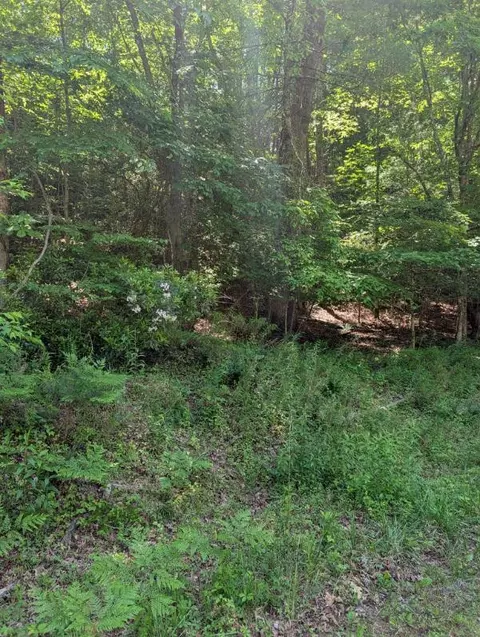 00 Talc Mine Rd, Murphy, NC 28906 photo 2