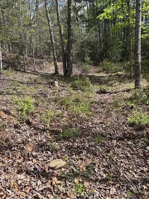 140 Hounds Run Ln, Murphy, NC 28906 photo 7