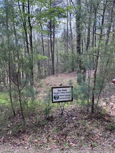140 Hounds Run Ln, Murphy, NC 28906 photo 15