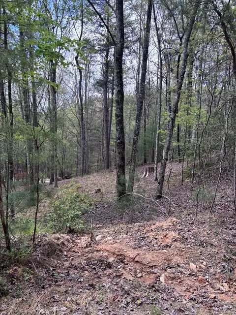 140 Hounds Run Ln, Murphy, NC 28906 photo 6