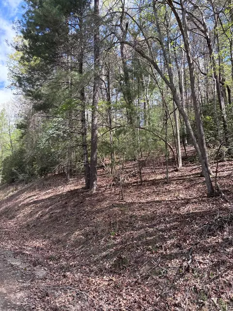 140 Hounds Run Ln, Murphy, NC 28906 photo 9