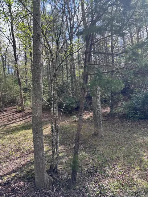 140 Hounds Run Ln, Murphy, NC 28906 photo 11