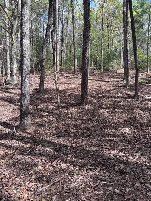 140 Hounds Run Ln, Murphy, NC 28906 photo 4