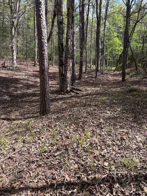 140 Hounds Run Ln, Murphy, NC 28906 photo 3