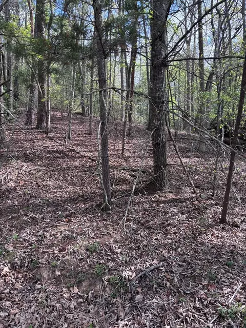 140 Hounds Run Ln, Murphy, NC 28906 photo 8