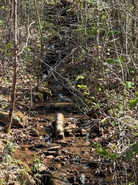 lot16 N High Meadows Dr, Hayesville, NC 28904