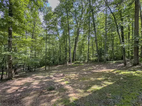 Exterior - 89 Box Turtle Ln, Murphy, NC 28906 photo 7 of 13