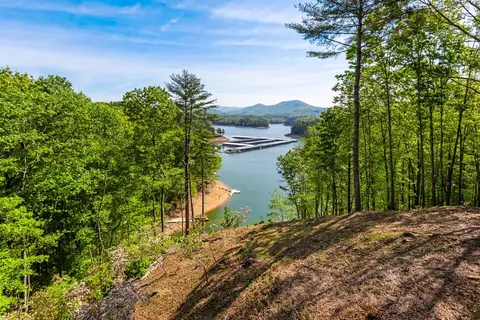 View/Area - 87 Snowbird Ln, Murphy, NC 28906 photo 3 of 12