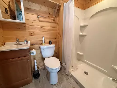 Bath - 270 Marina Dr, Murphy, NC 28906 photo 4 of 5