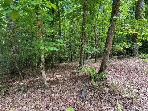 lot1 B Forest Ln, Murphy, NC 28906 photo 6