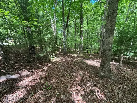 lot1 B Forest Ln, Murphy, NC 28906 photo 9