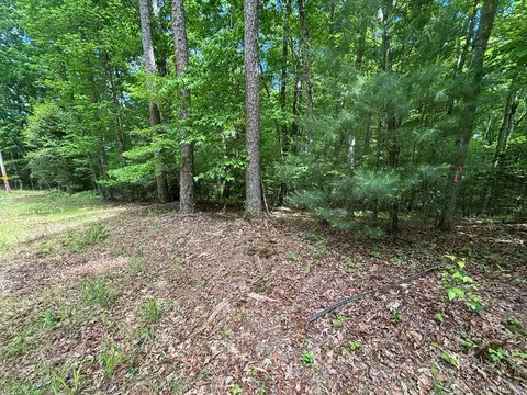lot1 B Forest Ln, Murphy, NC 28906 photo 7