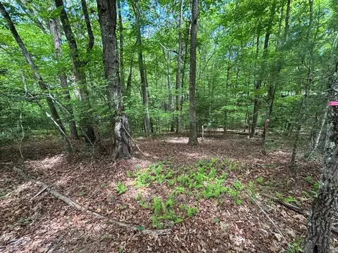 lot1 B Forest Ln, Murphy, NC 28906 photo 8
