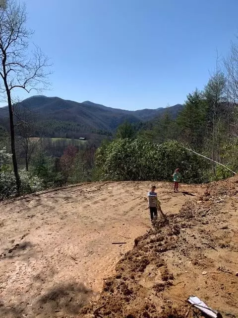 578 Stillwind Dr, Topton, NC 28781