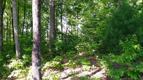lot8 Fain Peak, Murphy, NC 28906 photo 9