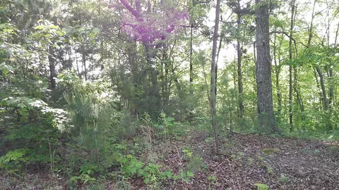 lot8 Fain Peak, Murphy, NC 28906 photo 5