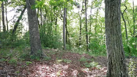 lot8 Fain Peak, Murphy, NC 28906 photo 4