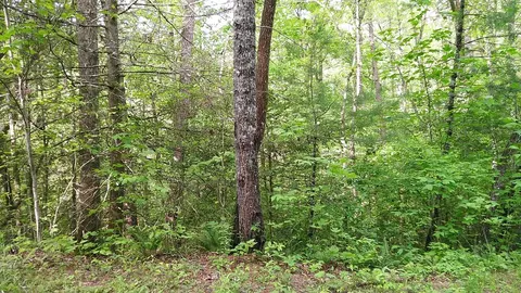 00 Mcdonald Rd, Murphy, NC 28906 photo 12