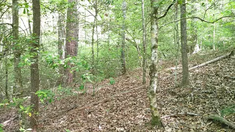 00 Mcdonald Rd, Murphy, NC 28906 photo 10
