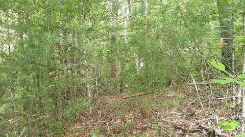 00 Mcdonald Rd, Murphy, NC 28906 photo 11