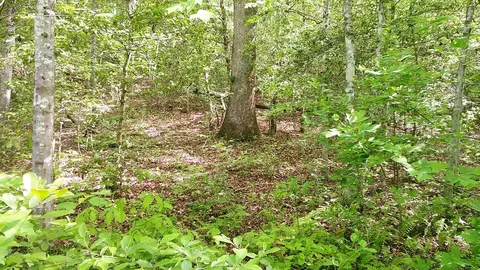 00 Mcdonald Rd, Murphy, NC 28906 photo 5
