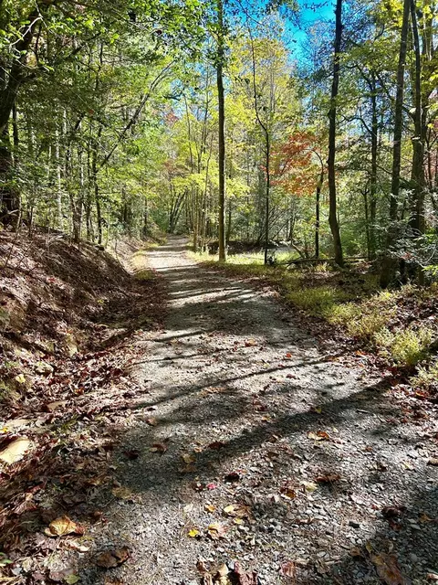 lot6 Beaverdam Loop, Murphy, NC 28906 photo 2