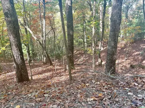 lot4 Ridgeline, Brasstown, NC 28902