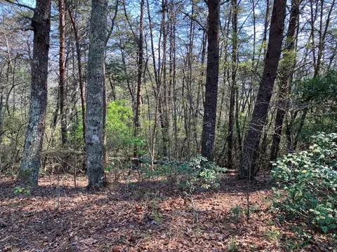 325 Ponderosa, Murphy, NC 28906 photo 26