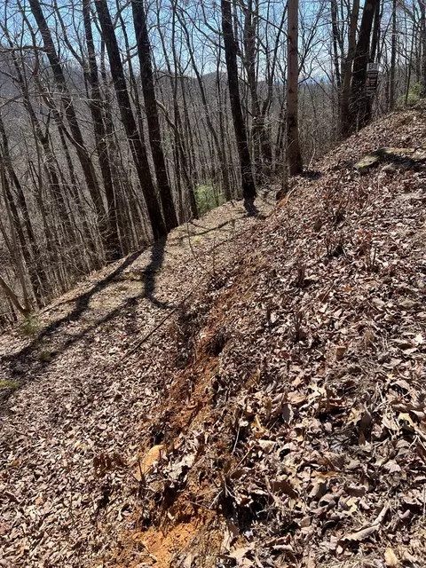 lot17 Panorama Dr Wolf Mountain Ests, Murphy, NC 28906 photo 15