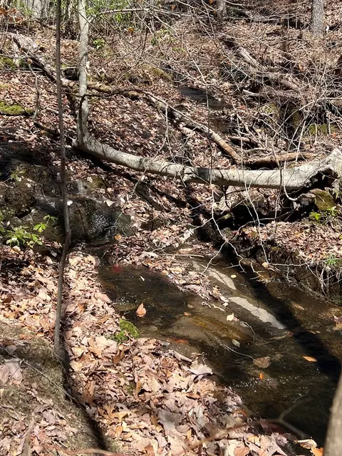 lot S High View Rd Wolf Mountain Ests, Murphy, NC 28906 photo 18