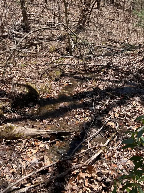 lot S High View Rd Wolf Mountain Ests, Murphy, NC 28906 photo 17