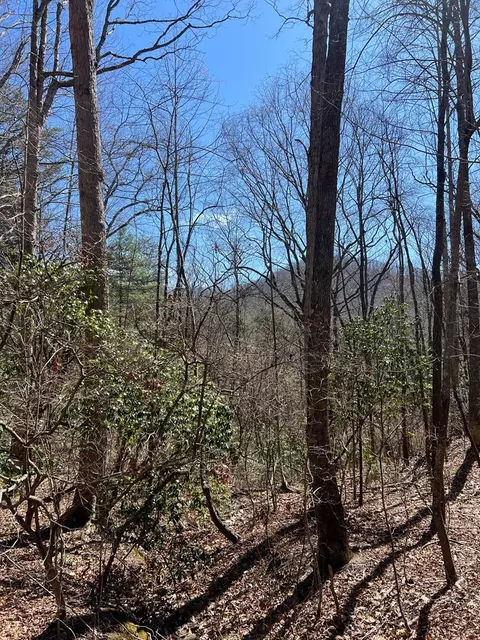 lot S High View Rd Wolf Mountain Ests, Murphy, NC 28906 photo 14