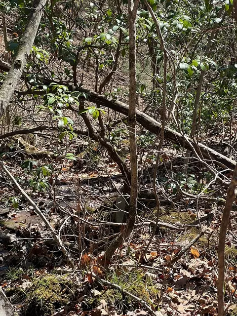lot S High View Rd Wolf Mountain Ests, Murphy, NC 28906 photo 16