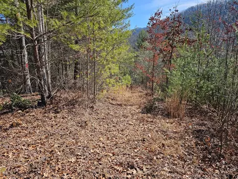 51 Kudzu Creek Trl, Murphy, NC 28906 photo 9