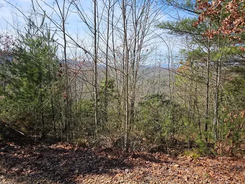 51 Kudzu Creek Trl, Murphy, NC 28906 photo 7