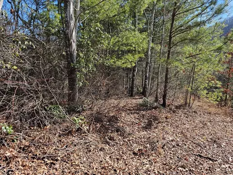 51 Kudzu Creek Trl, Murphy, NC 28906 photo 4