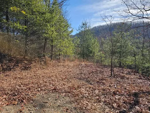 51 Kudzu Creek Trl, Murphy, NC 28906 photo 6